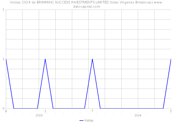 Visitas 2024 de BRIMMING SUCCESS INVESTMENTS LIMITED (Islas Vírgenes Británicas) 