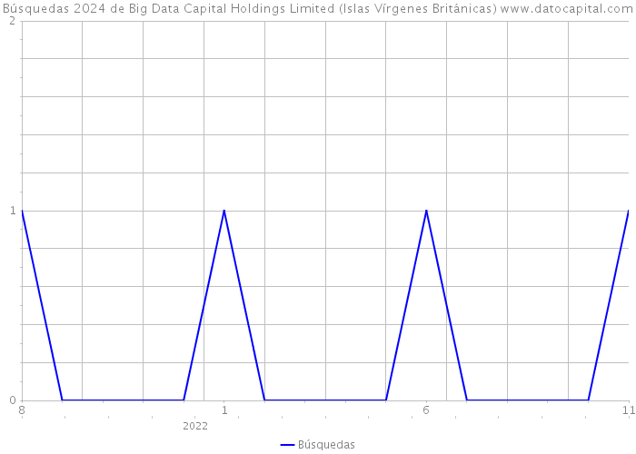 Búsquedas 2024 de Big Data Capital Holdings Limited (Islas Vírgenes Británicas) 