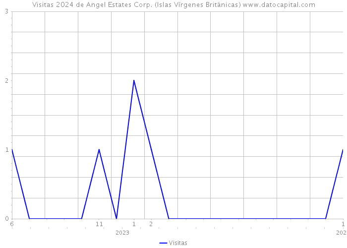 Visitas 2024 de Angel Estates Corp. (Islas Vírgenes Británicas) 