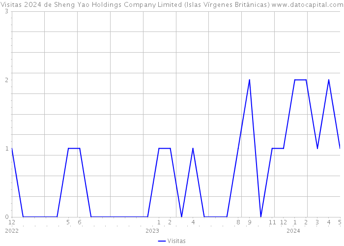 Visitas 2024 de Sheng Yao Holdings Company Limited (Islas Vírgenes Británicas) 