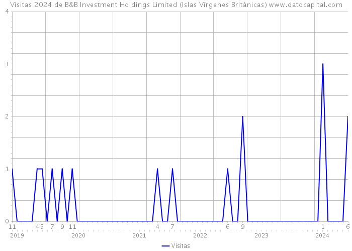 Visitas 2024 de B&B Investment Holdings Limited (Islas Vírgenes Británicas) 