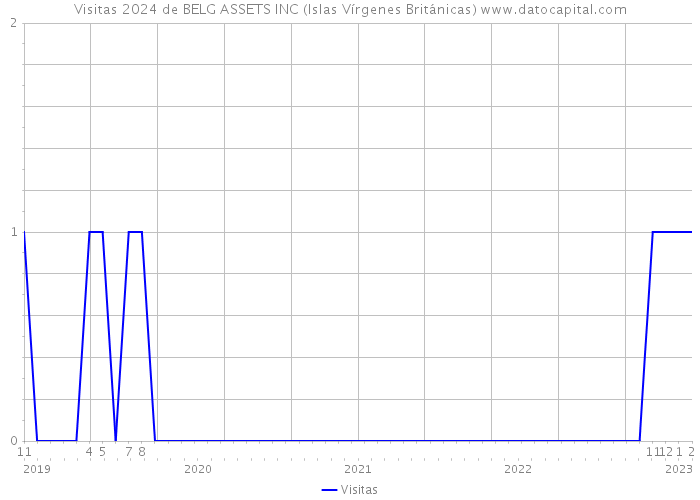 Visitas 2024 de BELG ASSETS INC (Islas Vírgenes Británicas) 