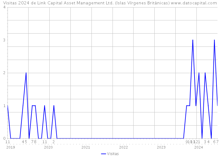 Visitas 2024 de Link Capital Asset Management Ltd. (Islas Vírgenes Británicas) 