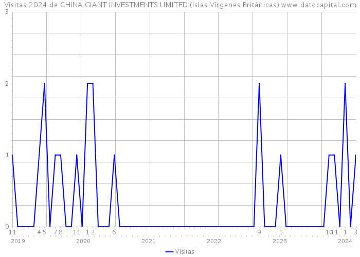 Visitas 2024 de CHINA GIANT INVESTMENTS LIMITED (Islas Vírgenes Británicas) 