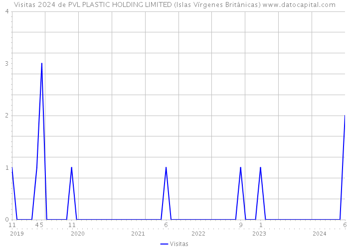 Visitas 2024 de PVL PLASTIC HOLDING LIMITED (Islas Vírgenes Británicas) 