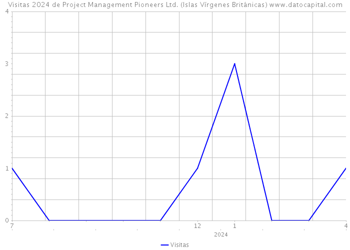 Visitas 2024 de Project Management Pioneers Ltd. (Islas Vírgenes Británicas) 
