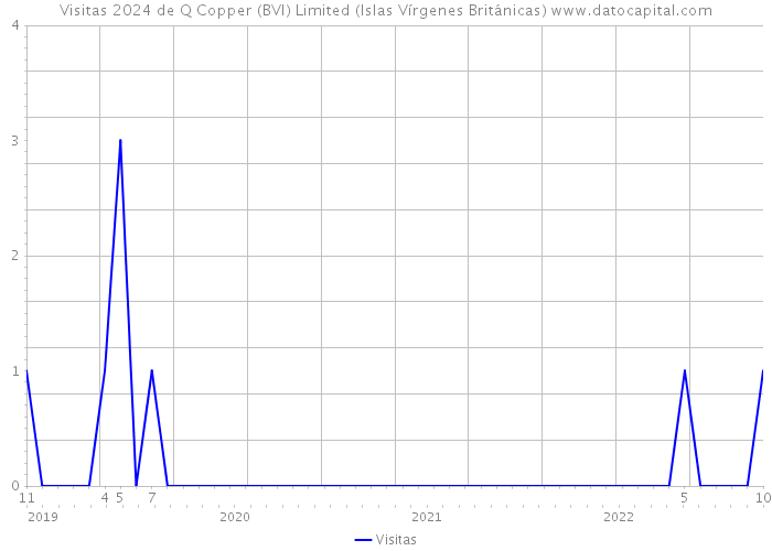 Visitas 2024 de Q Copper (BVI) Limited (Islas Vírgenes Británicas) 