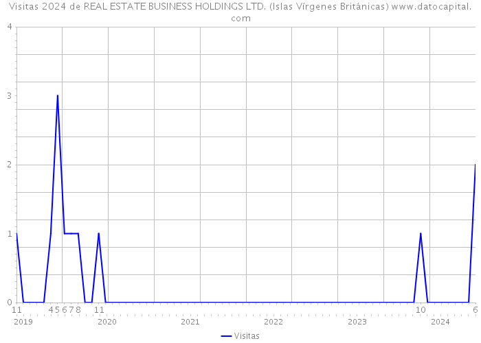 Visitas 2024 de REAL ESTATE BUSINESS HOLDINGS LTD. (Islas Vírgenes Británicas) 