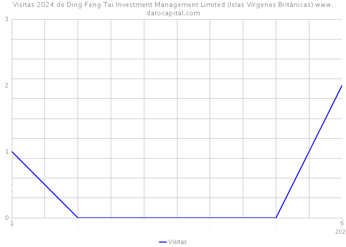 Visitas 2024 de Ding Feng Tai Investment Management Limited (Islas Vírgenes Británicas) 