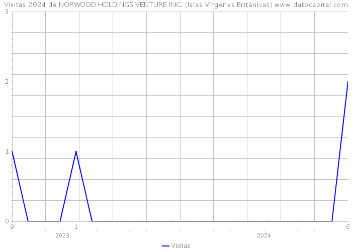 Visitas 2024 de NORWOOD HOLDINGS VENTURE INC. (Islas Vírgenes Británicas) 