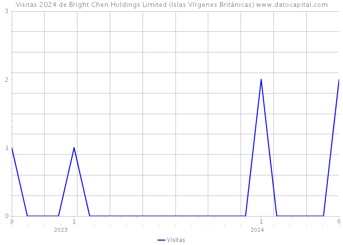 Visitas 2024 de Bright Chen Holdings Limited (Islas Vírgenes Británicas) 