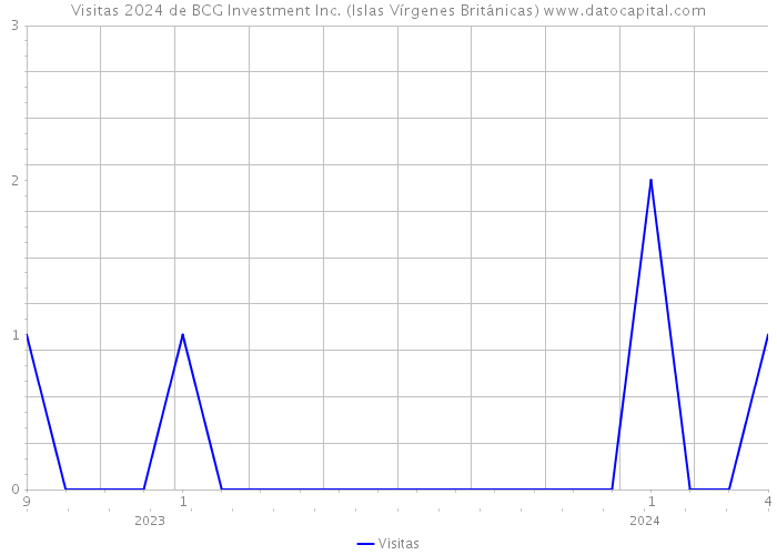 Visitas 2024 de BCG Investment Inc. (Islas Vírgenes Británicas) 