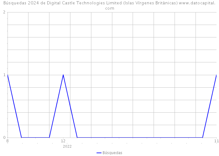 Búsquedas 2024 de Digital Castle Technologies Limited (Islas Vírgenes Británicas) 