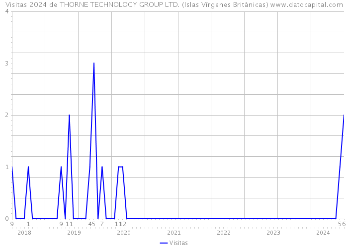 Visitas 2024 de THORNE TECHNOLOGY GROUP LTD. (Islas Vírgenes Británicas) 