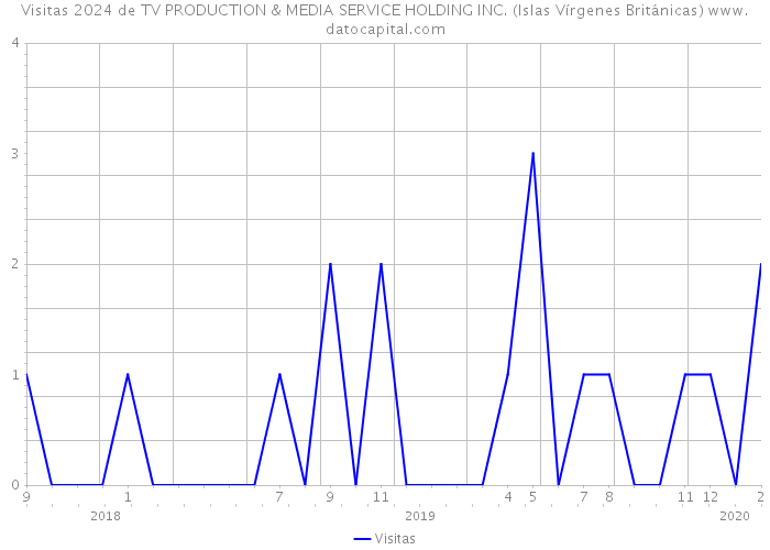 Visitas 2024 de TV PRODUCTION & MEDIA SERVICE HOLDING INC. (Islas Vírgenes Británicas) 