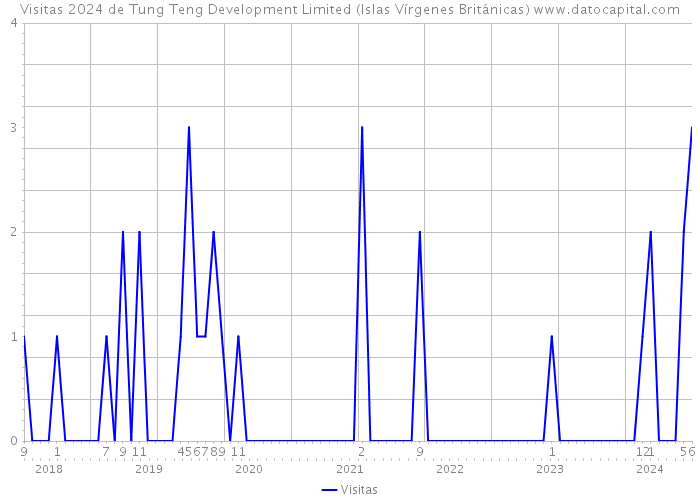 Visitas 2024 de Tung Teng Development Limited (Islas Vírgenes Británicas) 