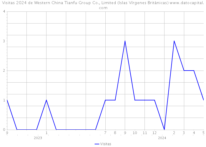 Visitas 2024 de Western China Tianfu Group Co., Limited (Islas Vírgenes Británicas) 