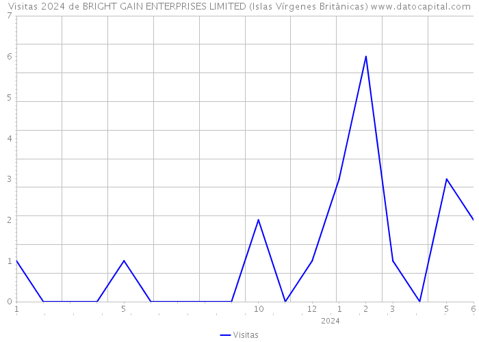 Visitas 2024 de BRIGHT GAIN ENTERPRISES LIMITED (Islas Vírgenes Británicas) 
