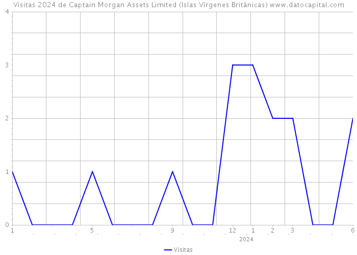 Visitas 2024 de Captain Morgan Assets Limited (Islas Vírgenes Británicas) 