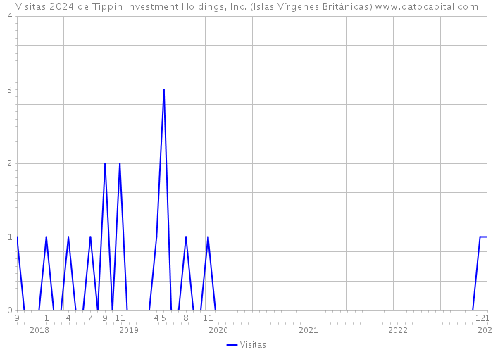 Visitas 2024 de Tippin Investment Holdings, Inc. (Islas Vírgenes Británicas) 