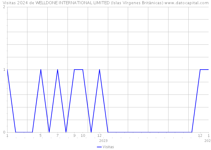 Visitas 2024 de WELLDONE INTERNATIONAL LIMITED (Islas Vírgenes Británicas) 