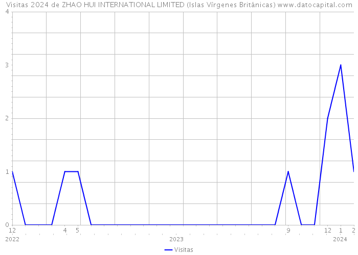 Visitas 2024 de ZHAO HUI INTERNATIONAL LIMITED (Islas Vírgenes Británicas) 