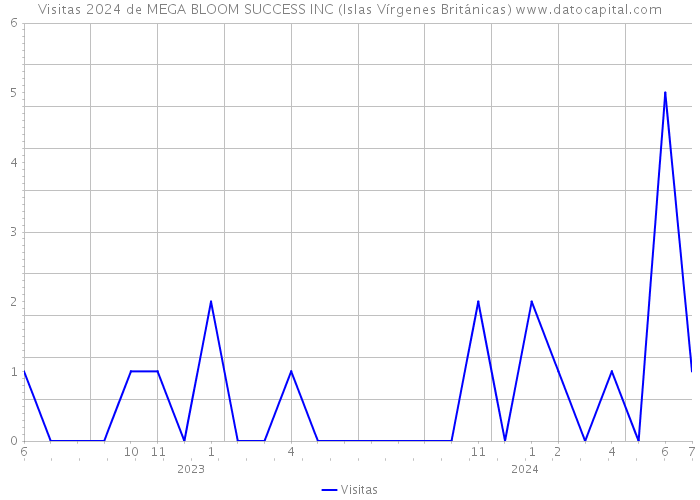 Visitas 2024 de MEGA BLOOM SUCCESS INC (Islas Vírgenes Británicas) 