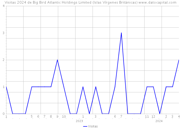 Visitas 2024 de Big Bird Atlantic Holdings Limited (Islas Vírgenes Británicas) 