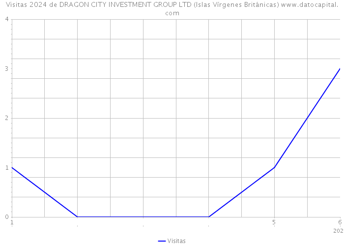 Visitas 2024 de DRAGON CITY INVESTMENT GROUP LTD (Islas Vírgenes Británicas) 