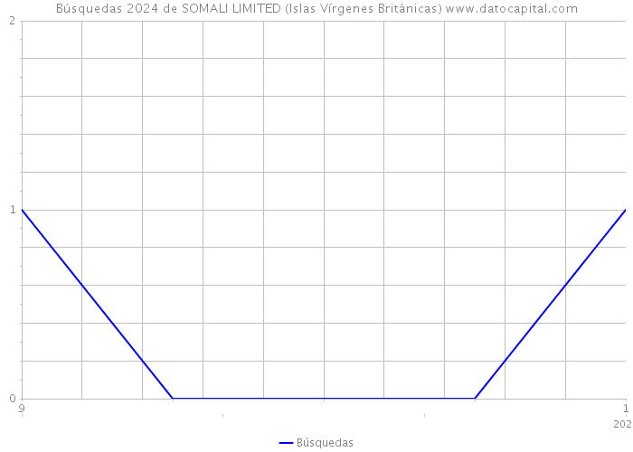 Búsquedas 2024 de SOMALI LIMITED (Islas Vírgenes Británicas) 