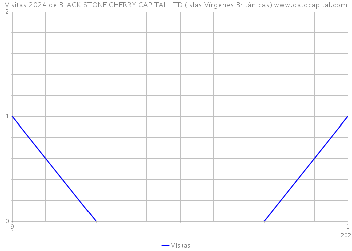 Visitas 2024 de BLACK STONE CHERRY CAPITAL LTD (Islas Vírgenes Británicas) 
