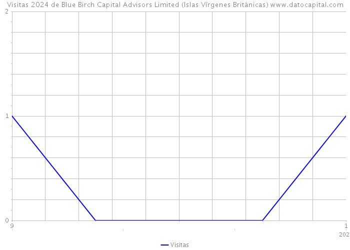 Visitas 2024 de Blue Birch Capital Advisors Limited (Islas Vírgenes Británicas) 