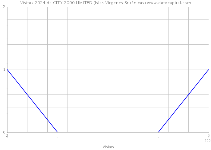 Visitas 2024 de CITY 2000 LIMITED (Islas Vírgenes Británicas) 