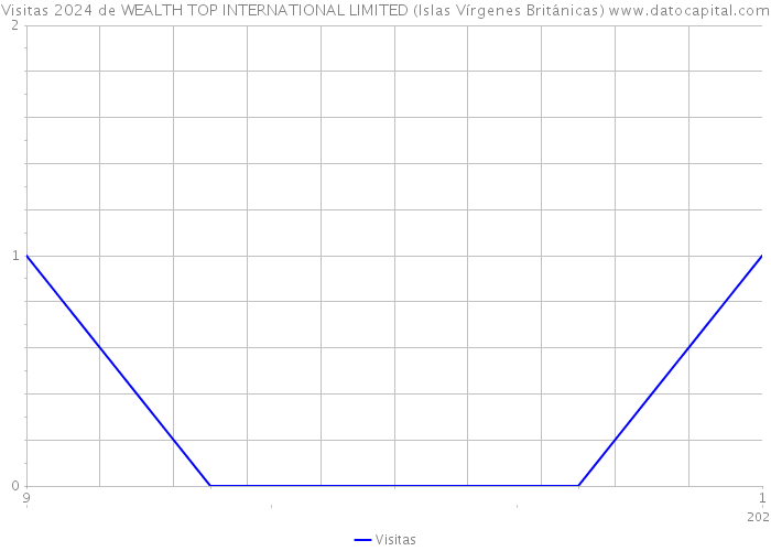 Visitas 2024 de WEALTH TOP INTERNATIONAL LIMITED (Islas Vírgenes Británicas) 
