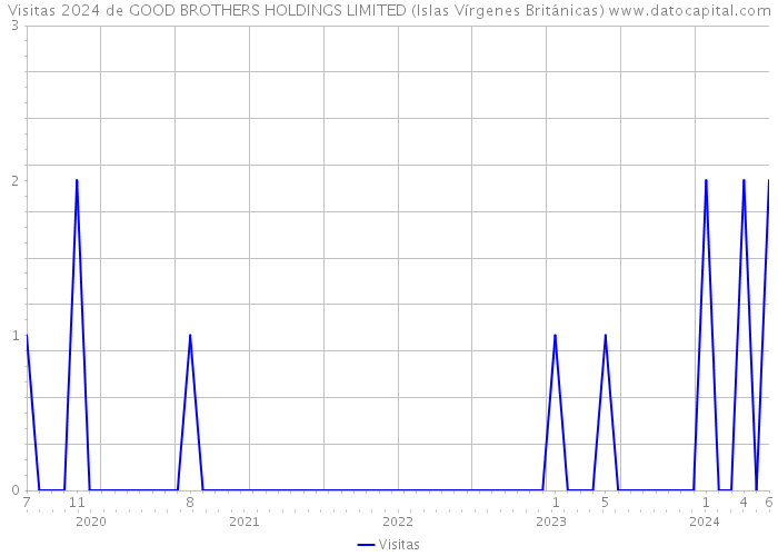 Visitas 2024 de GOOD BROTHERS HOLDINGS LIMITED (Islas Vírgenes Británicas) 