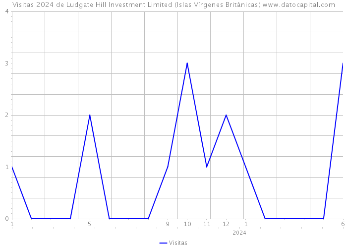 Visitas 2024 de Ludgate Hill Investment Limited (Islas Vírgenes Británicas) 