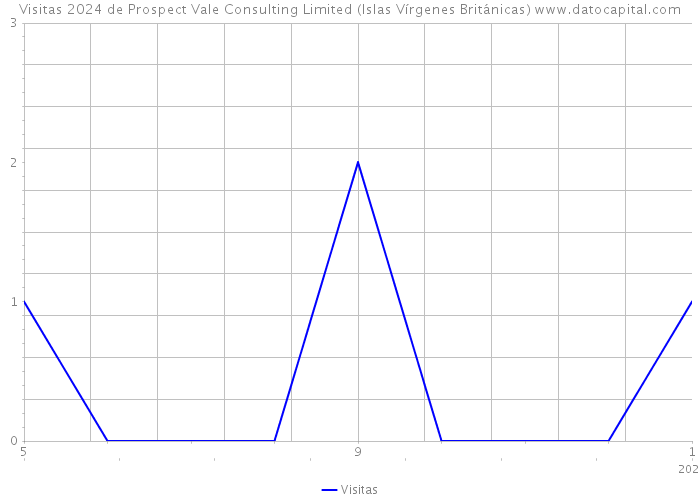 Visitas 2024 de Prospect Vale Consulting Limited (Islas Vírgenes Británicas) 