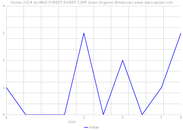 Visitas 2024 de WILD FOREST INVEST CORP (Islas Vírgenes Británicas) 