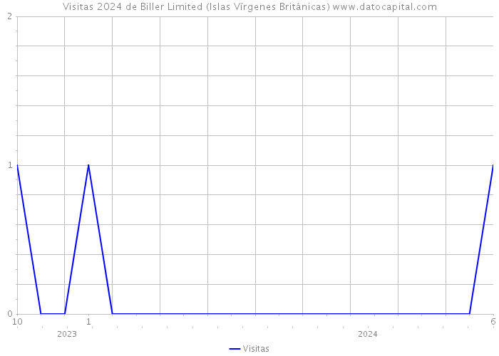 Visitas 2024 de Biller Limited (Islas Vírgenes Británicas) 