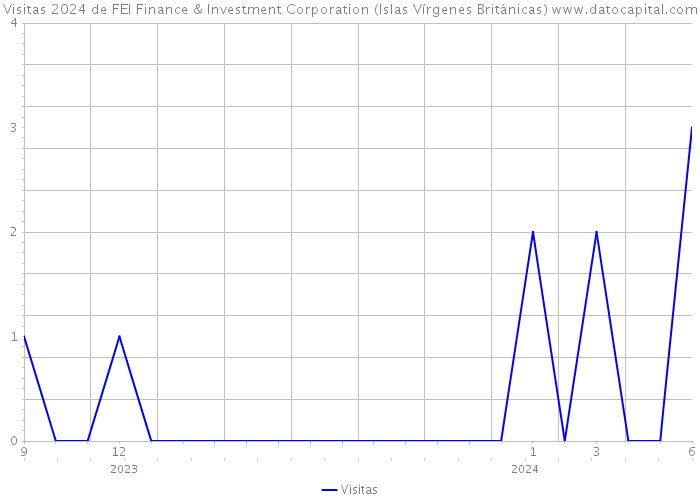 Visitas 2024 de FEI Finance & Investment Corporation (Islas Vírgenes Británicas) 