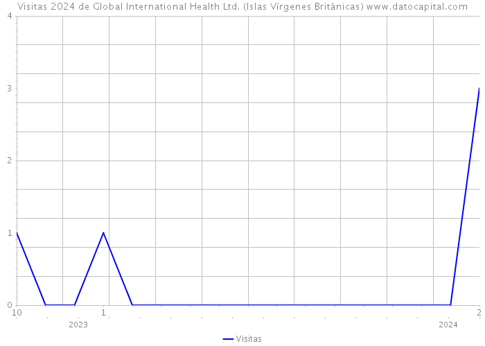 Visitas 2024 de Global International Health Ltd. (Islas Vírgenes Británicas) 