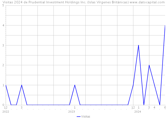 Visitas 2024 de Prudential Investment Holdings Inc. (Islas Vírgenes Británicas) 