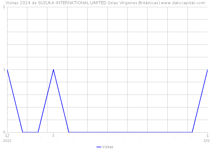 Visitas 2024 de SUZUKA INTERNATIONAL LIMITED (Islas Vírgenes Británicas) 