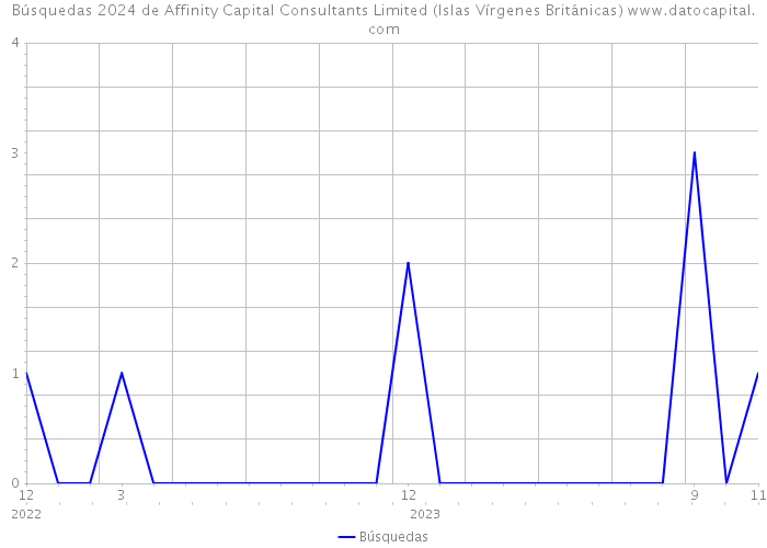Búsquedas 2024 de Affinity Capital Consultants Limited (Islas Vírgenes Británicas) 
