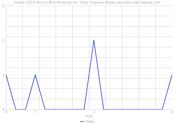 Visitas 2024 de Iron Bird Holdings Inc. (Islas Vírgenes Británicas) 
