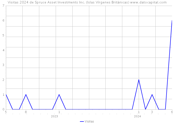 Visitas 2024 de Spruce Asset Investments Inc. (Islas Vírgenes Británicas) 