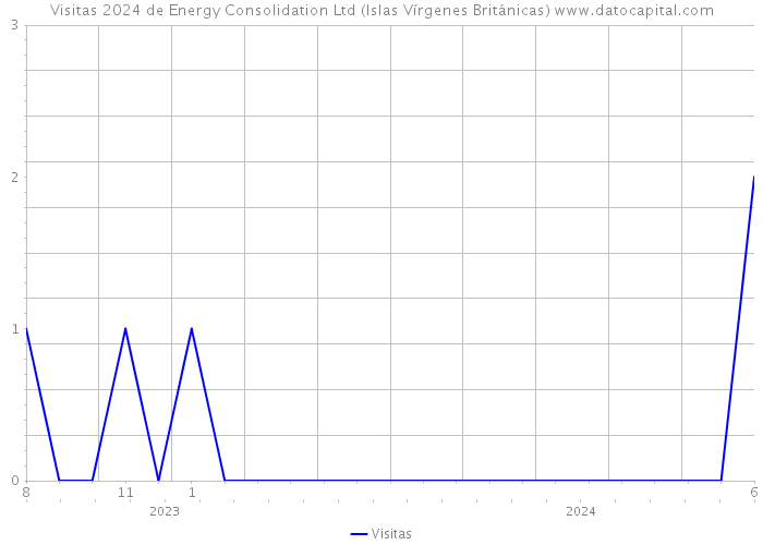 Visitas 2024 de Energy Consolidation Ltd (Islas Vírgenes Británicas) 