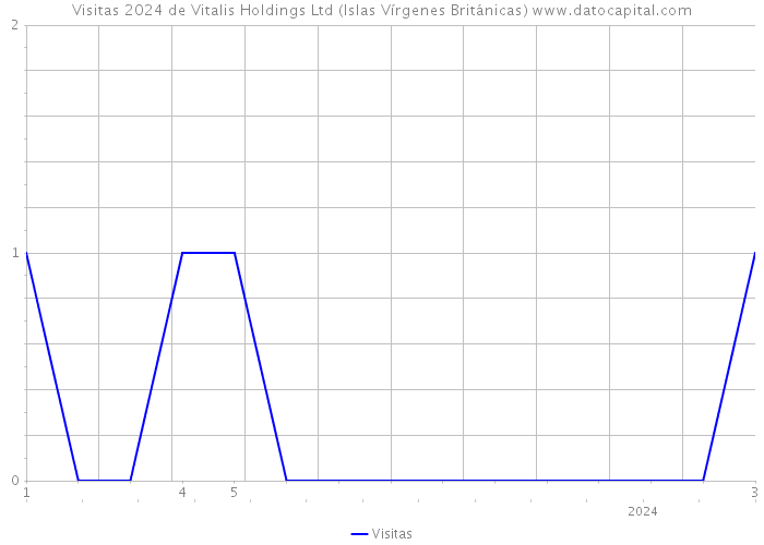 Visitas 2024 de Vitalis Holdings Ltd (Islas Vírgenes Británicas) 