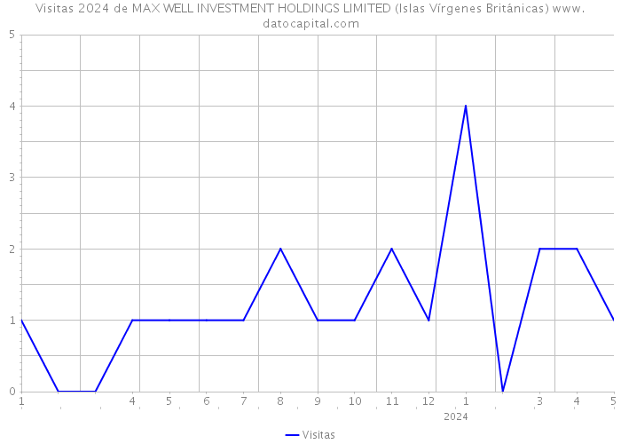 Visitas 2024 de MAX WELL INVESTMENT HOLDINGS LIMITED (Islas Vírgenes Británicas) 