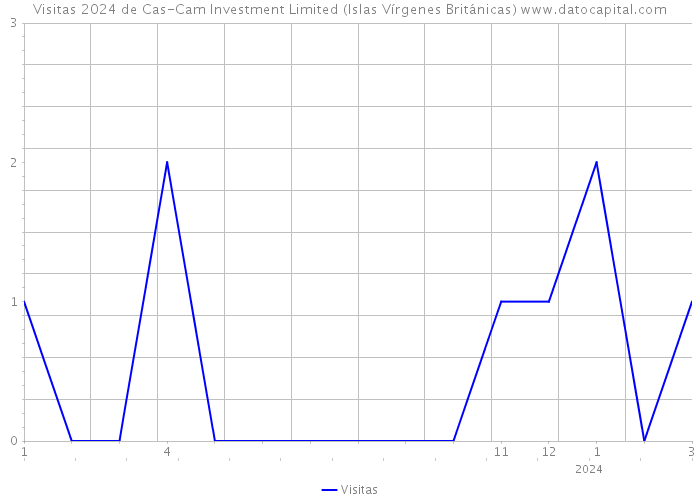 Visitas 2024 de Cas-Cam Investment Limited (Islas Vírgenes Británicas) 